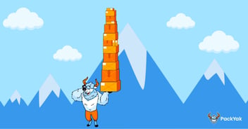 eCommerce Order Fulfillment, PackYak Fulfillment overcoming challenges in eCommerce, Inventory management, eCommerce returns, Cyber week and peak season needs in fulfillment